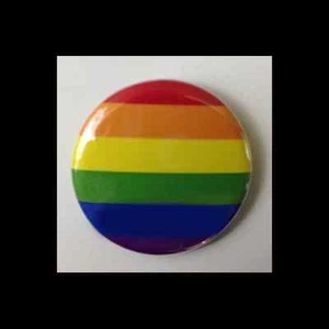 Rainbow Flag Round Pin-Back Button Gay Pride Lesbian Pin Badge LGBT LBGTQ Ally - Picture 1 of 2