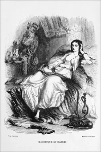 MAGHREB - FEMME MAURE dans un HAREM - Gravure sur acier du 19e siècle - Picture 1 of 2