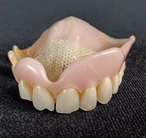 Genuine Real Top Denture for Model Making - Picture 1 of 9
