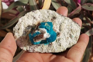 Cavansite Stilbite Heulandite Metrix Base Espécimen áspero para decoración del hogar 200 gm - Imagen 1 de 6