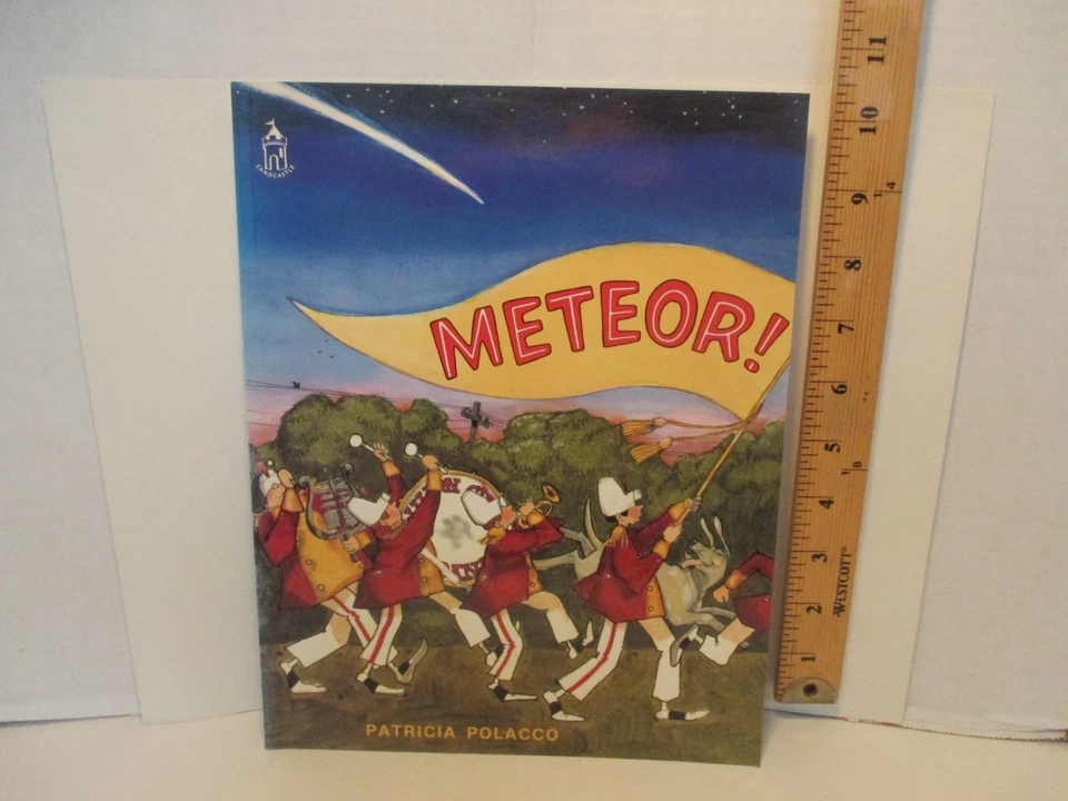 children's picture book METEOR! signed by PATRICIA POLACCO 1992 pb 1st ed Foto 1 de 4
