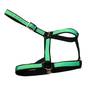 Halter de 3 capas talla caballo de tiro fuerte y duradero hecho en EE. UU. - Imagen 1 de 13
