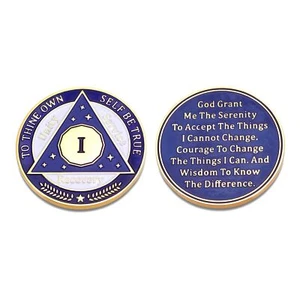 1 Year Sobriety Gifts for Women Men Aa Medallions Aa Sobriety 1 Year Sober Gi... - Picture 1 of 6