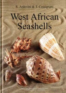 Westafrikanische Muscheln - Bild 1 von 4