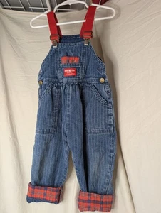 Vntg Oshkosh B'Gosh Striped Denim Overall with Kitten Patches 2t Missing 1 Buttn - Picture 1 of 12