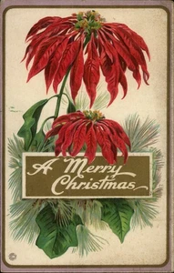 Vintage A Merry Christmas Postcard Poinsettias 1919 Chicago IL - Picture 1 of 2