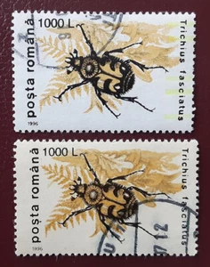 ROMANIA 1996 1000L Used Beetle Paper Variety Mi 5168 Scott 4089 Superb 8013 - Picture 1 of 2