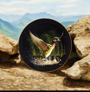 'Winged Splendor' On The Wing, Tommy Humphrey, Duck Plate (1992, 8.25*) 4951A - Picture 1 of 2