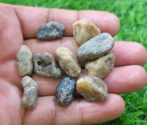 10 Pcs Lot Natural Sapphire Raw Size 15-22 mm Jewelry For Making Loose Gemstone - Picture 1 of 4