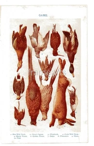 Vintage Book Plate/Print Food GAME deal For Framing - Picture 1 of 1