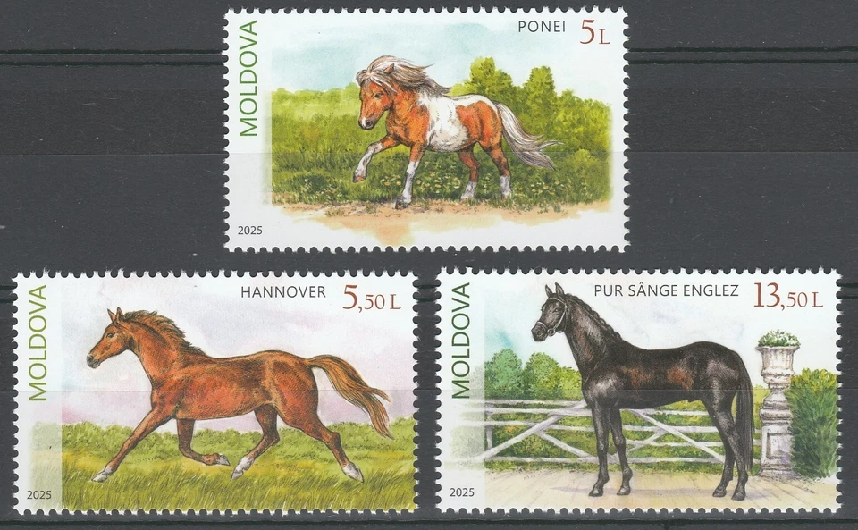 Moldova 2025 Horses 3 MNH stamps - Image 1 of 1