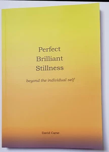 Perfect Brilliant Stillness von David Carse Taschenbuch (2020 Ausgabe) - Bild 1 von 2