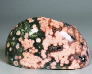 Natural Ocean Jasper Agate Quartz Crystal Palm Stone Healing Mineral Specimen - Picture 1 of 17