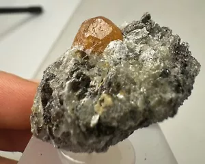 SPESSARTIN Kristalle auf Matrix (15gr) Spessartite Specimen, Loliondo Tansania - Bild 1 von 6
