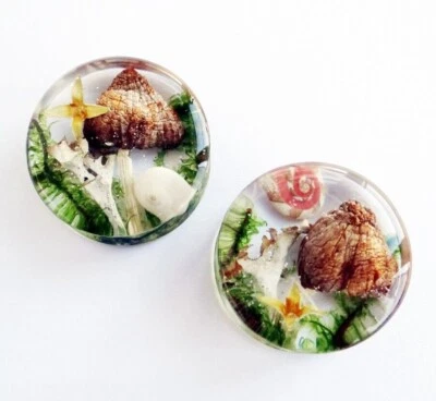 Twinkling Mushroom plug Acrylic Solid Saddle Ear Tunnels Double flare resin Pair - Image 1 of 4