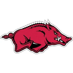 Imán automático grande de 12" Arkansas Razorbacks - Imagen 1 de 1