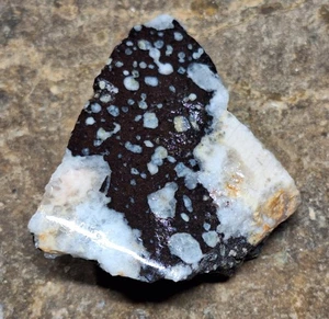 Hermoso basalto amigdaloidal pulido a mano con calcita y otros minerales - Imagen 1 de 7