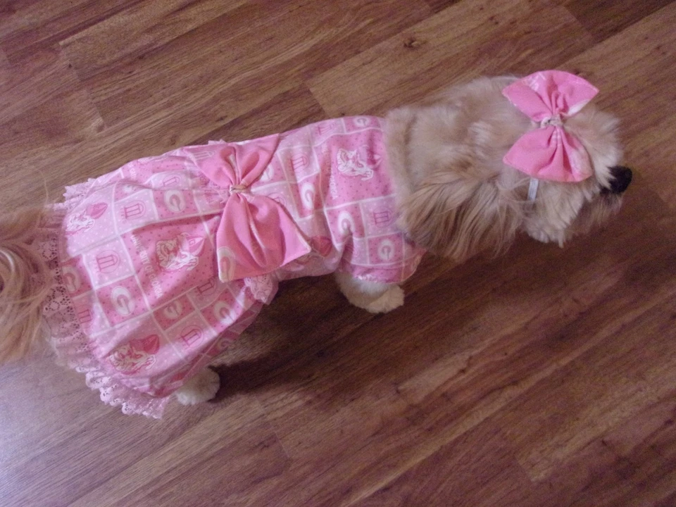  dog dress,Georgia Bulldogs,pink,Large for small breeds*(read details for size) - Image 1 of 4