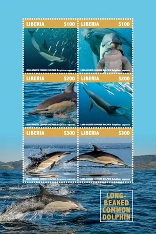 Liberia 2019 -Long Beacked Common Dolphin - Sheet of 6 stamps - Scott #3320- MNH Cover