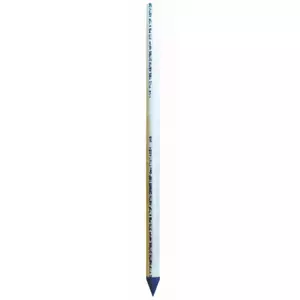 Water Source 1-1/4 in. x 48 in. Plastic Well Point Corrosion-Resistant - Picture 1 of 1