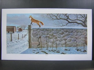Harry Antis Outfoxed Red Fox Hidden Animal Images Signed Art Print - Picture 1 of 3