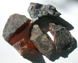 Nice Group of Rough Burmese Burmite Amber Fossil Stones from Dinosaur Age 30.5 g - Picture 1 of 11