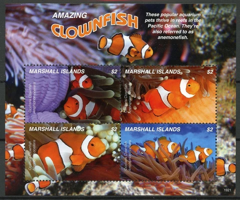 Marshall Islands Fish Stamps 2019 MNH Amazing Clownfish Marine 4v M/S Cover