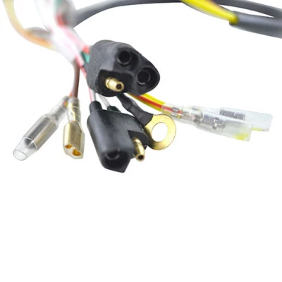 RMStator Kit Stator + Flywheel | RMS900-102180 - Image 1 of 4