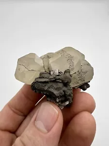 Splendido cristallo di calcite con dolomite, marcasite e sfalerite - molto raro - Foto 1 di 12