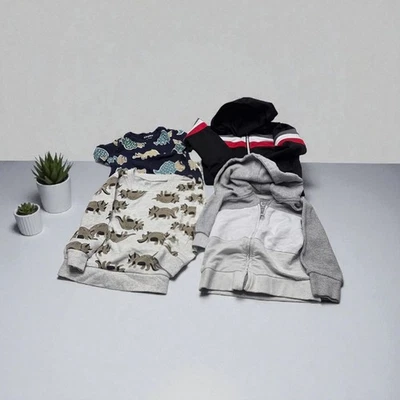 4件装男孩2T连帽衫运动衫套装恐龙赛马老海军拉链套装 — 第 1/4 张图片