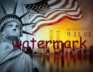 911 Never Forget 9/11 Memorial Estatua de la Libertad EE. UU. Foto publicitaria 8x10 - Imagen 1 de 2