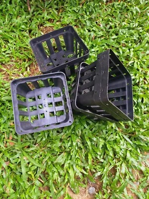 Square Shape Succulent Plant Pot Cactus Plant Pot For Gardening Max "Set Of 4"  - Image 1 of 4