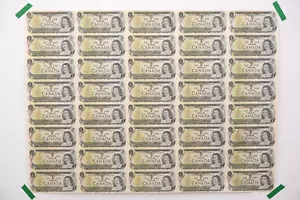 Rare 5 x 8 UNCUT SHEETS 1973 Bank of Canada $1 Banknote, rolled - Picture 1 of 10