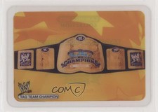 2006 Lamincards WWE Belts Tag Team Champion #144