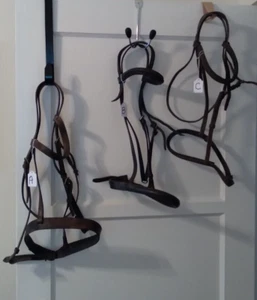 Leather Horse English Bridles - Full & Pony Size - used - sold separately - Bild 1 von 7