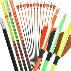 32" Carbon Pfeile SP400-1000 4.2mm Bogenschießen Compound RecurveBogen Jagdpfeil - Picture 1 of 18