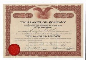 NEW MEXICO 1925 Twin Lakes Oil Company Aktienzertifikat Artesia Eddy County - Bild 1 von 2