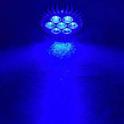 21W Royal Blue 450nm~455nm LED Lamp Spot Light Bulb Plant Aquarium PAR30 E26 E27 - Image 1 of 4