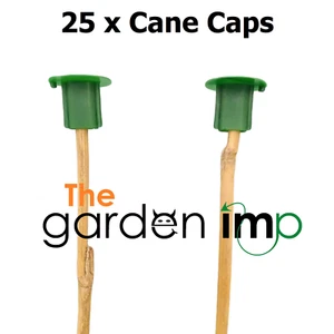 25 Cane Caps Plastic Garden Bamboo Toppers Protectors Garden Safety Small Canes - Picture 1 of 4