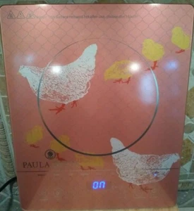 NEW Paula Deen 1500W LED Colored Glass Programmable Induction Cooker Hen Chicks - Picture 1 of 12