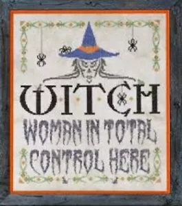 Witch Aida Kit~Glendon Place - Picture 1 of 1
