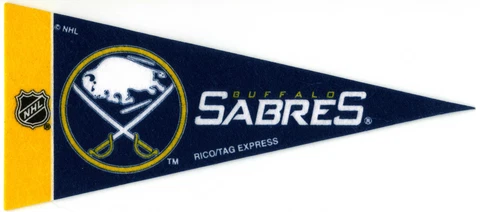 BUFFALO SABRES~BRAND NEW NHL HOCKEY TEAM MINI SOUVENIR 9" MINIATURE PENNANT Cover