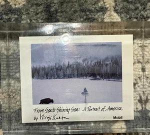 FROM SEA TO SHINING SEA A PORTRAIT OF AMERICA SIGNED PHOTO HIROJI KUBOTA ACRYLIC - Picture 1 of 4