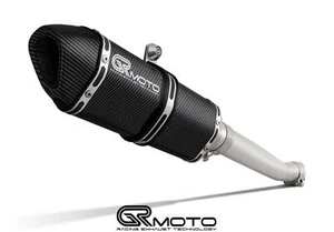 Escape para Honda CBR 600 F4i 2001-2007 GRmoto de Carbono - Imagen 1 de 4