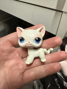 Littlest Pet Shop Authentic #64 LPS White Shorthair Cat Blue Eyes Pink Ears 2004 - Picture 1 of 4