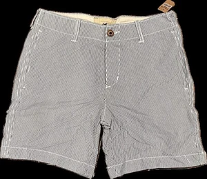 Hollister Shorts Mens Blue Striped Cotton Chino Classic Button Up Size 30 New - Picture 1 of 3