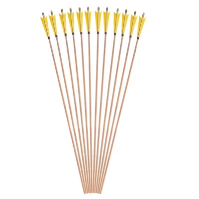 6/12pcs Bamboo Arrows Turkey Feathers Longbow Target Archery Recurve Bow Hunting - Image 1 of 4