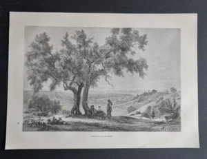 Antique (1873) print - Bords du Lac Nemi - Lake Nemi - Rome - Lazio - Italy - Picture 1 of 3