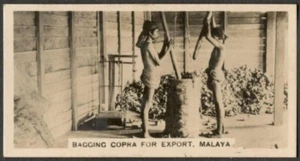 Malaya - Copra embolsado para exportación - Tarjeta de cigarrillo foto real vintage - Imagen 1 de 1