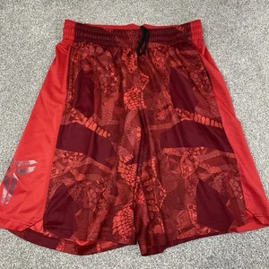 Nike Zoom Kobe Bryant Basketball Shorts Mens L Mamba Dri Fit Workout 688467-657 - Picture 1 of 12